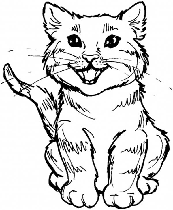tabby cat coloring pages - photo #34