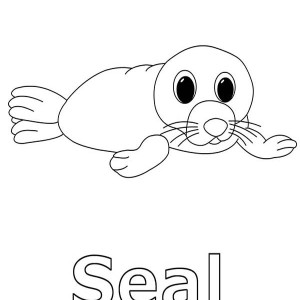 Baby Seal In Arctic Animals Coloring Page Love