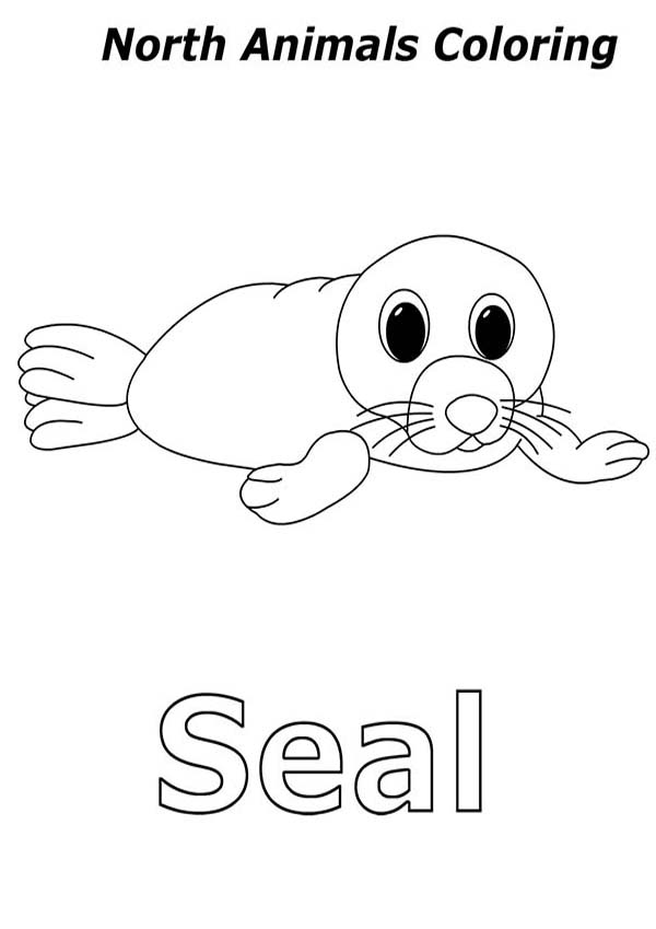 baby cat and baby seal coloring pages - photo #44