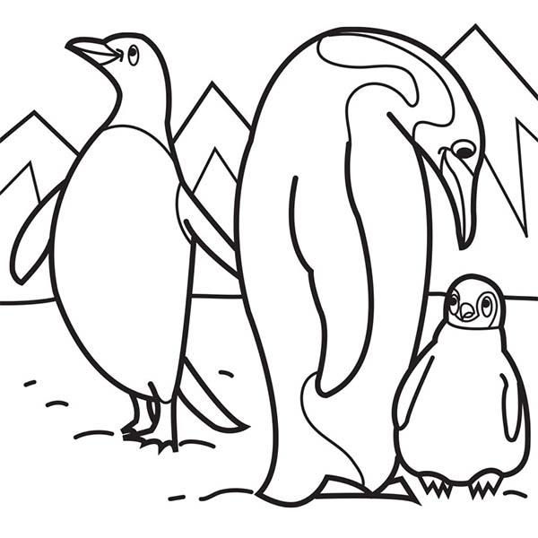 Penguin Parent Teaching Their Baby in Arctic Animals Coloring Page | Kids Play Color