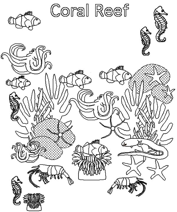ocean ecosystem coloring pages free - photo #19