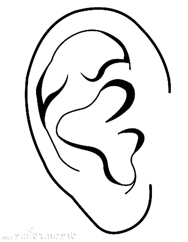 ears coloring pages - photo #16